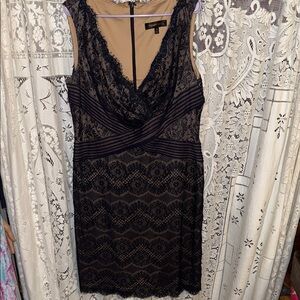 Tadashi Shoji Navy Lace Dress